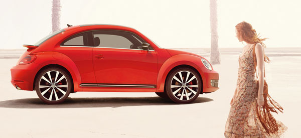 Beetle Website