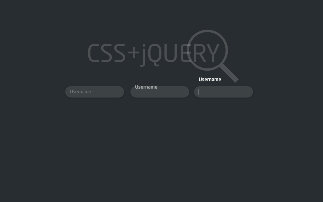 Genial formulario con CSS y jQuery !!!