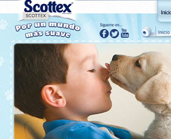Scottex